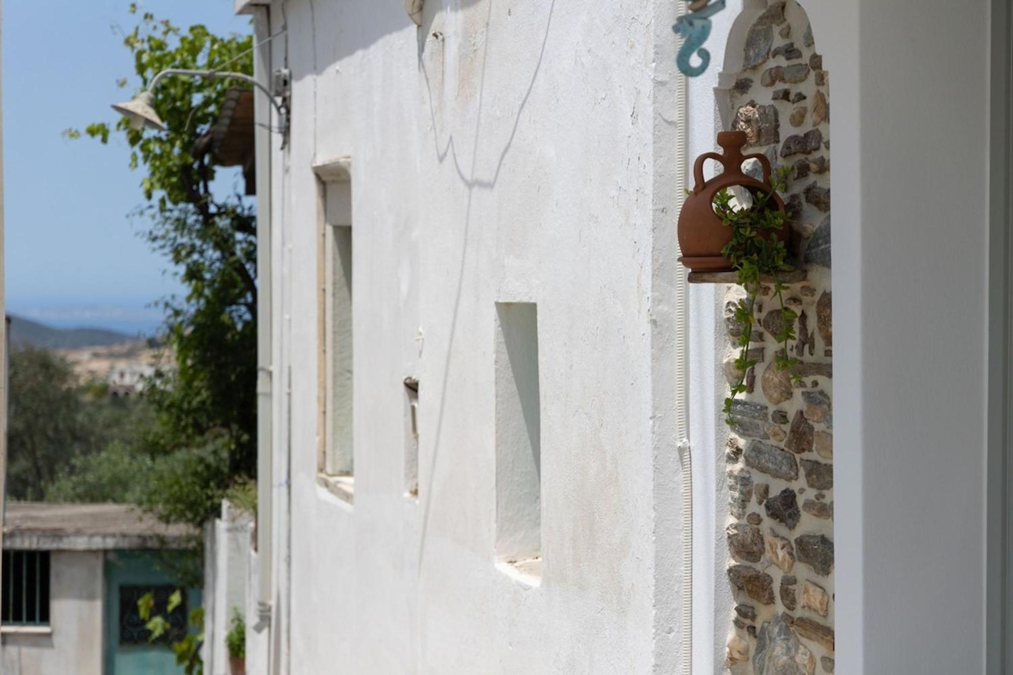 My Grandma'S Home Naxos Dhamarionas Esterno foto